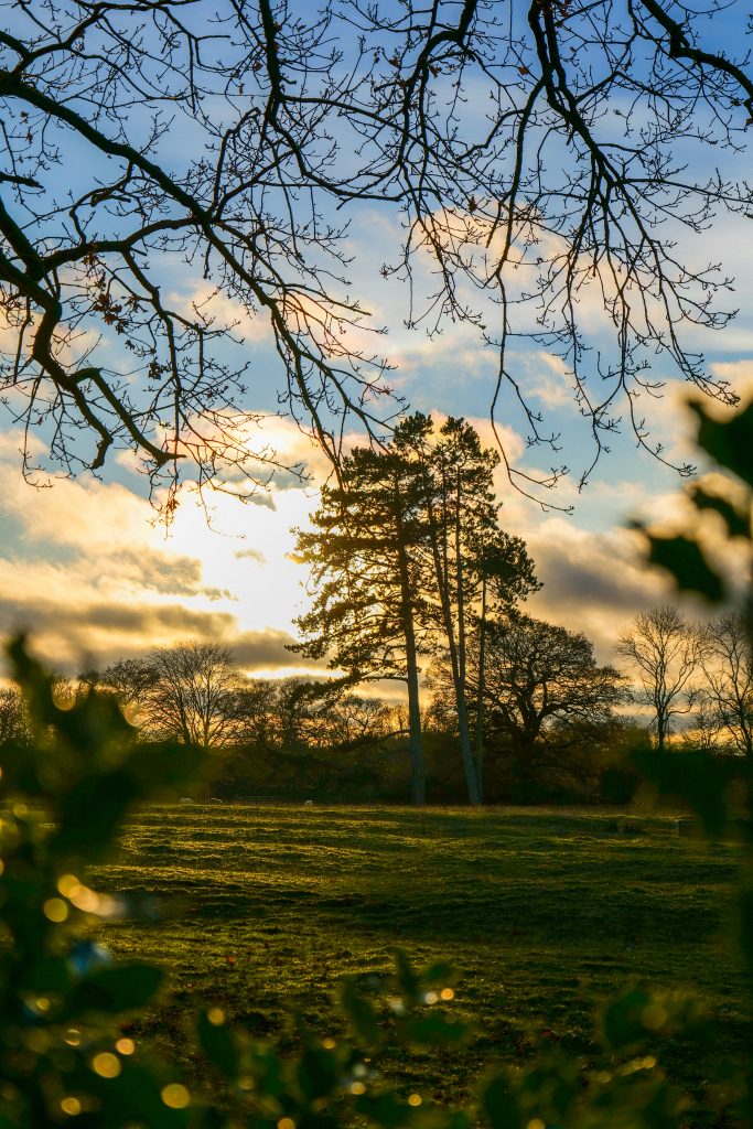 Sunset at Baddesley (again)